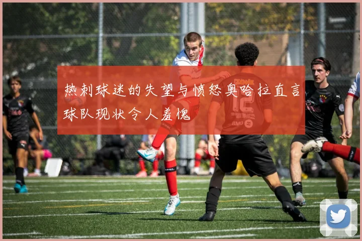 热刺球迷的失望与愤怒奥哈拉直言球队现状令人羞愧