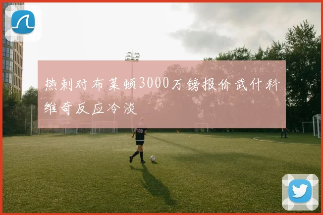 热刺对布莱顿3000万镑报价武什科维奇反应冷淡