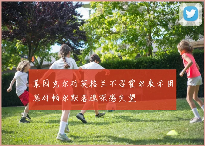 莱因克尔对英格兰不召霍尔表示困惑对帕尔默落选深感失望